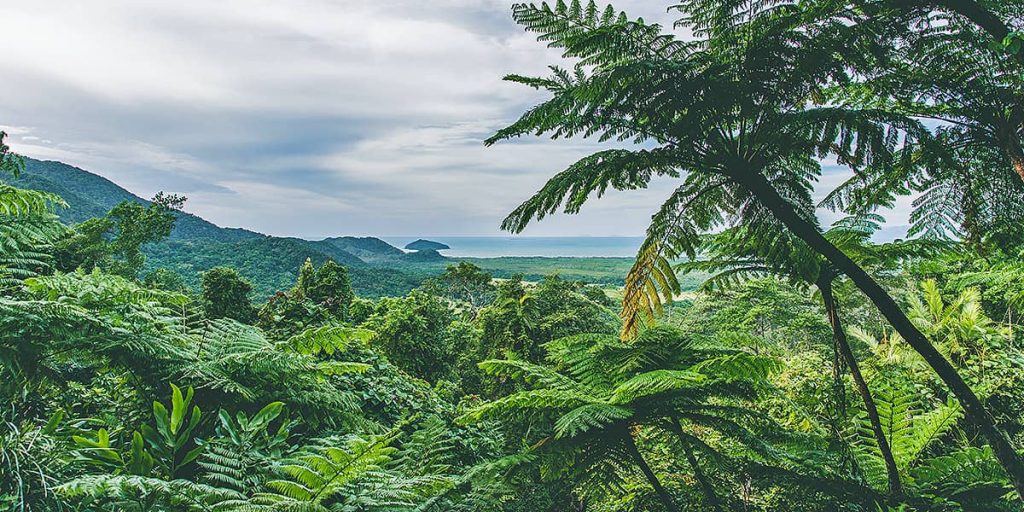 10_Premium Cape Trib