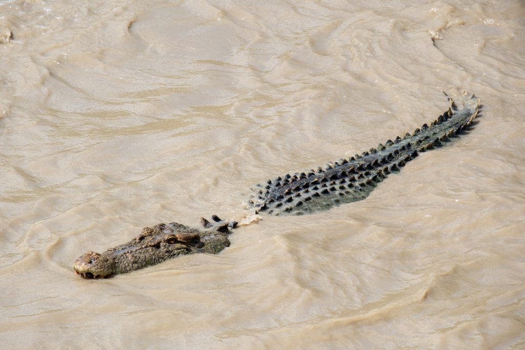 3 Day Kakadu Tour - Territory Expeditions-30