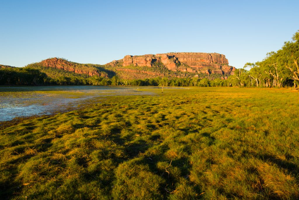 View,To,Nourlangie,From,Anbangbang,Billabong,,Kakadu,National,Park,,Australia