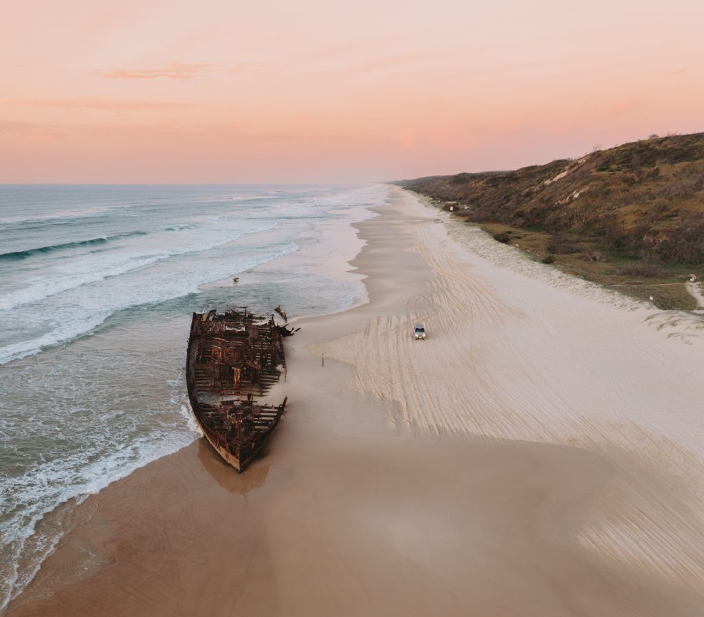 Dingos 3 Day Images_47