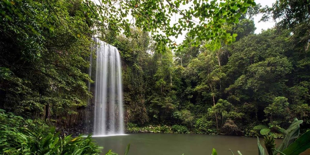 EcoTour-listing-8-1200x600_Premium Tablelands Day Tour