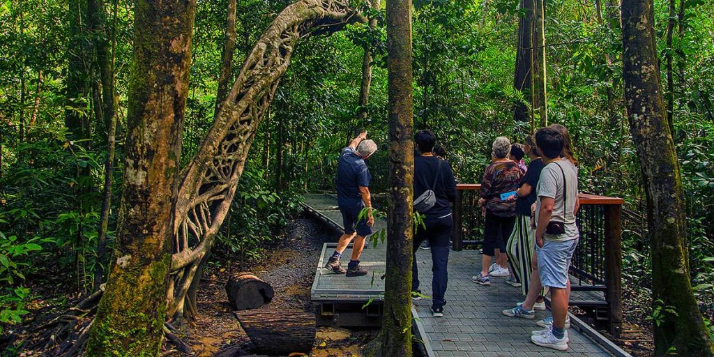 Package - Reef, Daintree, Cape Trib 2 day tour combo_17.21