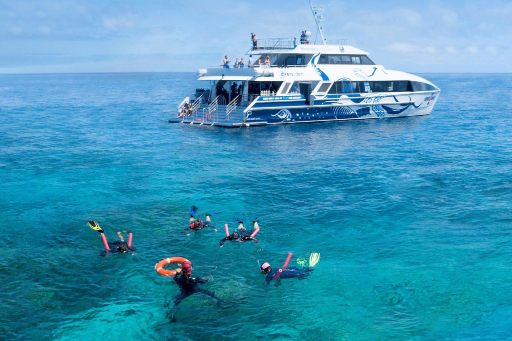 Snorkelling-Trip-from-Cairns-120-1